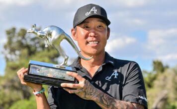 Kim’in Peri masalı…