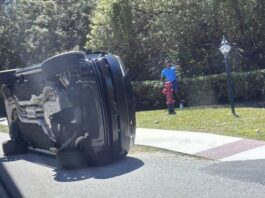 Yine kaza, yine adli vaka, yine Tiger