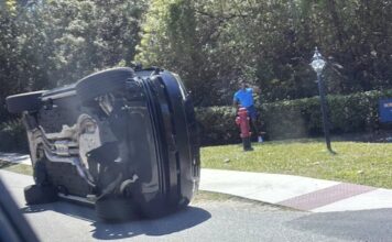 Yine kaza, yine adli vaka, yine Tiger