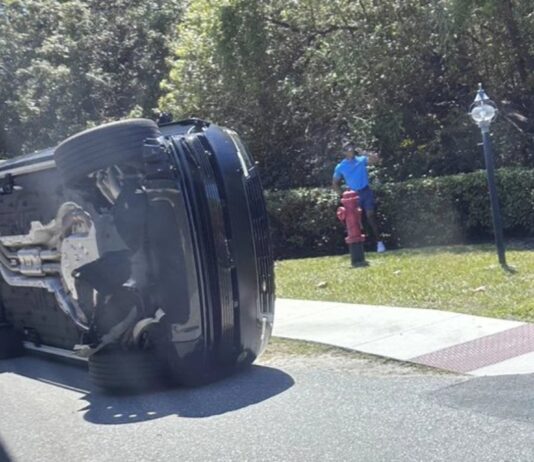 Yine kaza, yine adli vaka, yine Tiger