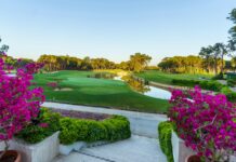 Yıldızlar National’da sahne alacak