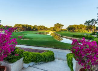 Yıldızlar National’da sahne alacak